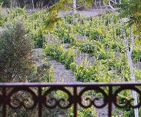 Hotel Giulia Reitani